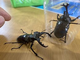 Riverside Hostel B&B – Hostel