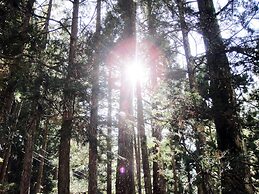 Riverside Hostel B&B – Hostel