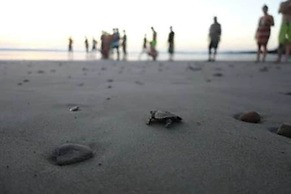 Verdad Nicaragua Beach Hotel & Retreat