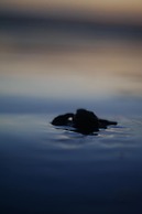 Verdad Nicaragua Beach Hotel & Retreat