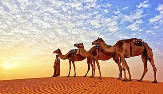 Alsarmadi Desert Camp