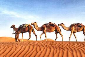 Alsarmadi Desert Camp