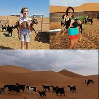 Alsarmadi Desert Camp