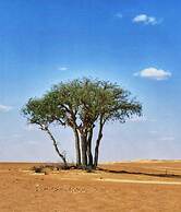 Alsarmadi Desert Camp