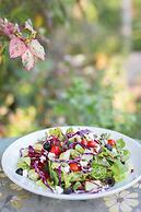 Cattani's Riverside Home