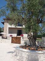 Sinodinos Deluxe Apartments