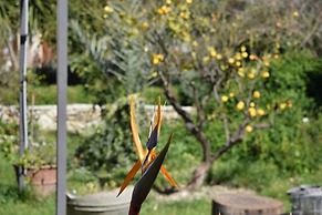 Picturesque Traditional Stone House