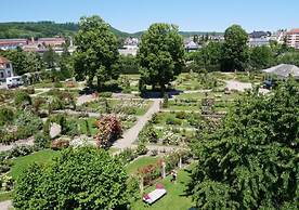Le Jardin des Roses