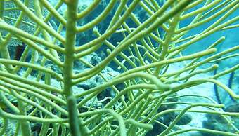 Glamping Ecolodge Cueva de las Águilas