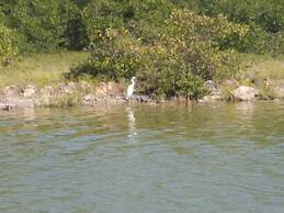 Glamping Ecolodge Cueva de las Águilas