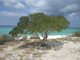 Glamping Ecolodge Cueva de las Águilas