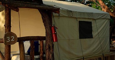 Glamping Ecolodge Cueva de las Águilas