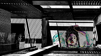 Diez Diez Collection