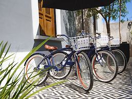 Diez Diez Collection