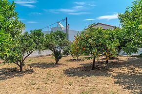 Villa Artemida Vravrona