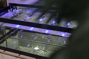 Emin Koçak Thermal & Spa - Convention Center