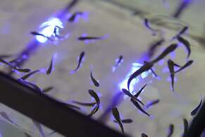 Emin Koçak Thermal & Spa - Convention Center