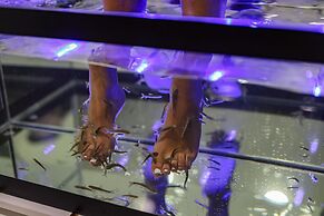 Emin Koçak Thermal & Spa - Convention Center