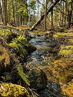 Glenghorm Beach Resort