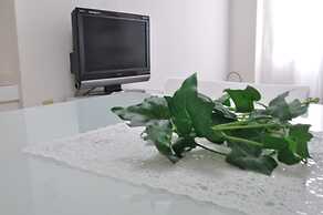 AMS Hiragishi 11 503