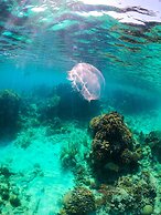 Coral View Beach Resort