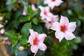 Affittacamere I Canneggiatori