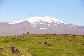 Gotuhus