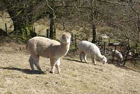 Inviting 2-bed Cottage in Newcastle Emlyn