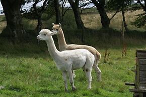 Inviting 2-bed Cottage in Newcastle Emlyn