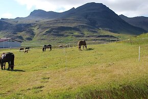 Söðulsholt Cottages