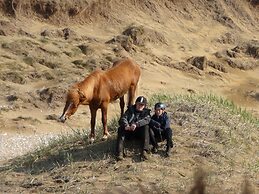 Söðulsholt Cottages
