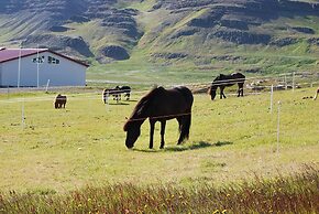 Söðulsholt Cottages