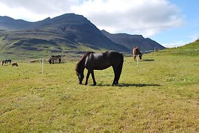 Söðulsholt Cottages
