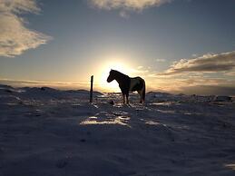 Söðulsholt Cottages