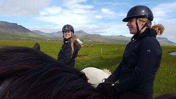 Söðulsholt Cottages