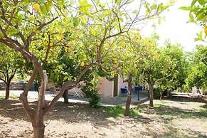 Nel Giardino Dei Limoni