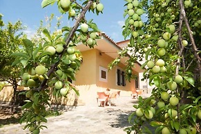 Nel Giardino Dei Limoni