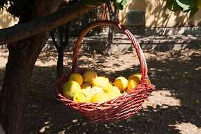 Nel Giardino Dei Limoni