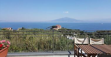 Sorrento Olive Tree Garden
