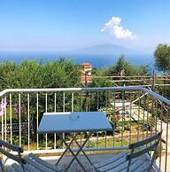 Sorrento Olive Tree Garden