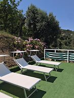 Sorrento Olive Tree Garden