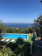 Sorrento Olive Tree Garden