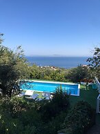 Sorrento Olive Tree Garden