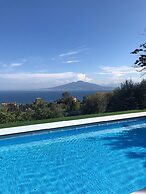 Sorrento Olive Tree Garden