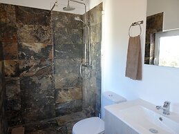 CIP V8 Gold - New!!!