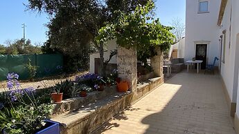 CIP V8 Gold - New!!!