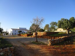 CIP V8 Gold - New!!!