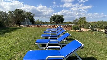 CIP V8 Gold - New!!!