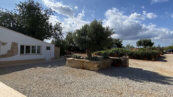 CIP V8 Gold - New!!!