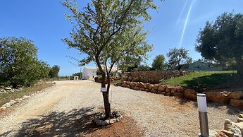 CIP V8 Gold - New!!!